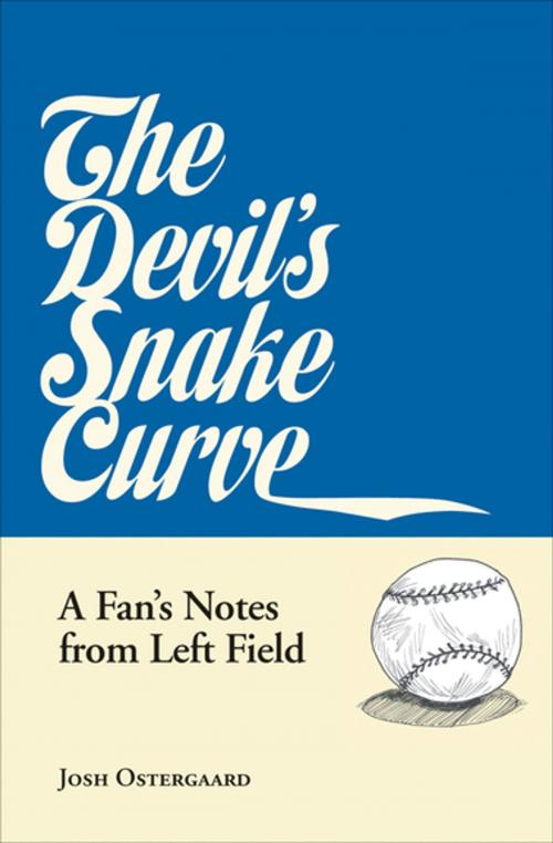 Cover of the book The Devil's Snake Curve by Josh Ostergaard, Coffee House Press