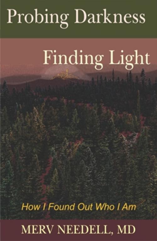 Cover of the book Probing Darkness Finding Light by Merv Needell, M.D., Rainbow Books, Inc.