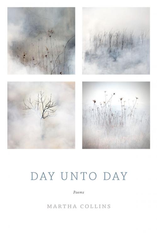 Cover of the book Day Unto Day by Martha Collins, Milkweed Editions