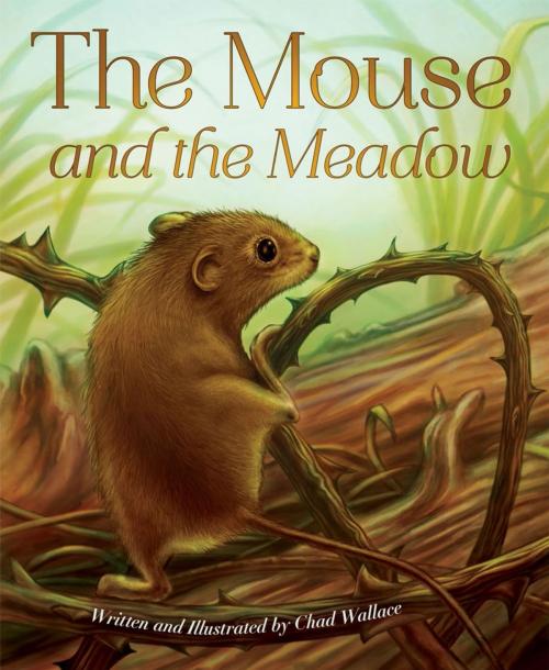 Cover of the book The Mouse and the Meadow by A01, Dawn Publications