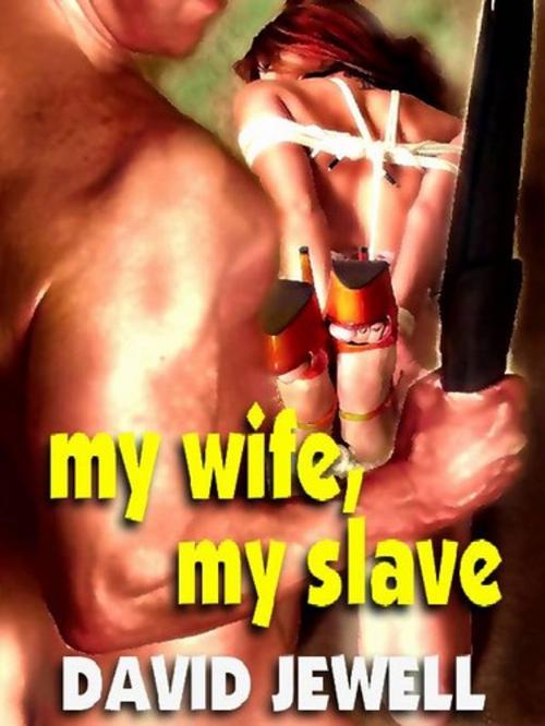Cover of the book My Wife, My Slave by David Jewell, Sizzler Editions