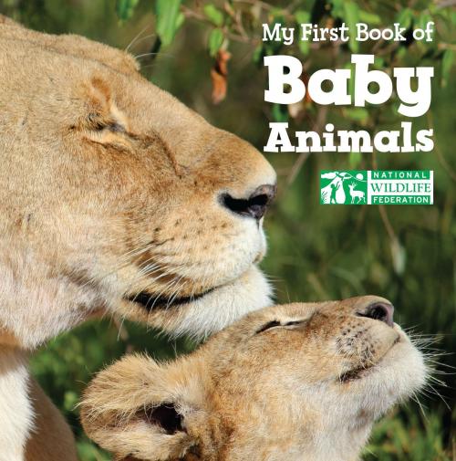 Cover of the book My First Book of Baby Animals (National Wildlife Federation) by National Wildlife Federation, Charlesbridge
