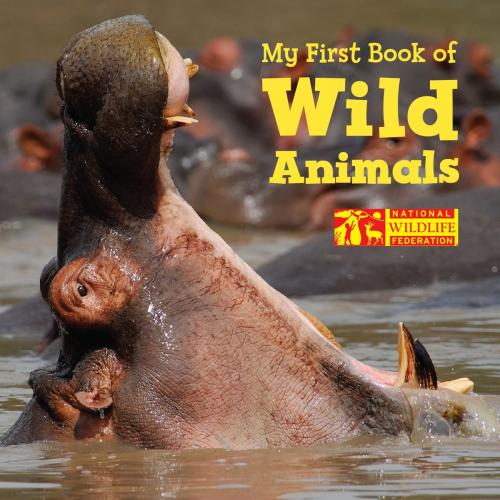 Cover of the book My First Book of Wild Animals (National Wildlife Federation) by National Wildlife Federation, Charlesbridge
