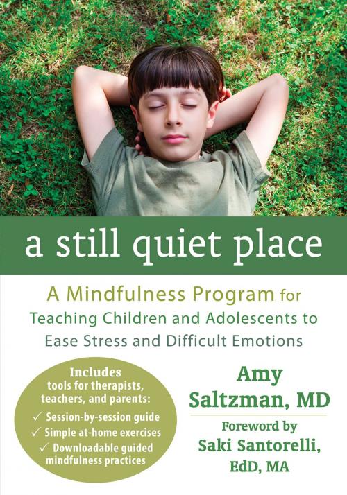 Cover of the book A Still Quiet Place by Amy Saltzman, MD, New Harbinger Publications
