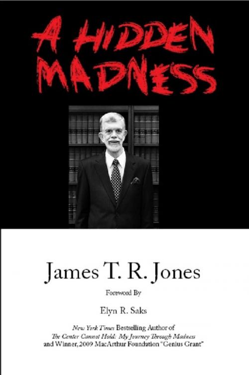 Cover of the book A Hidden Madness by James T. R. Jones, Quid Pro, LLC