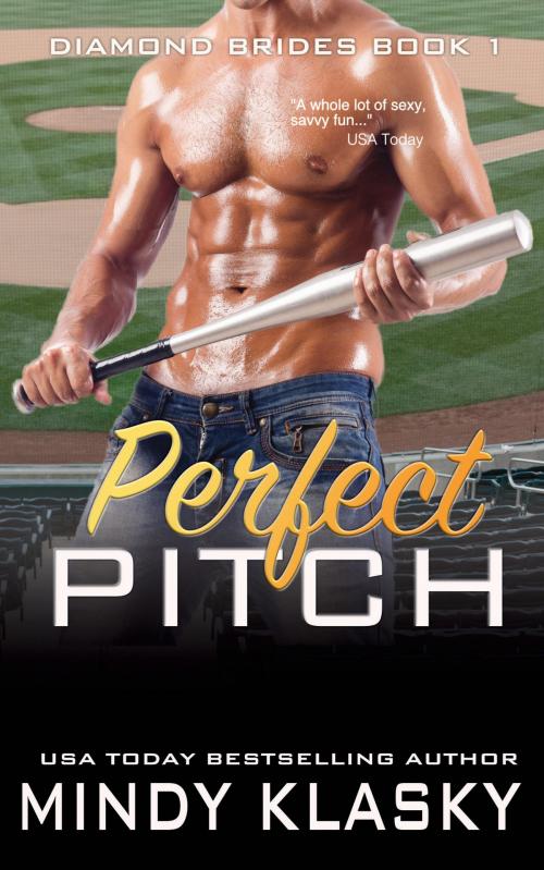 Cover of the book Perfect Pitch by Mindy Klasky, Book View Cafe