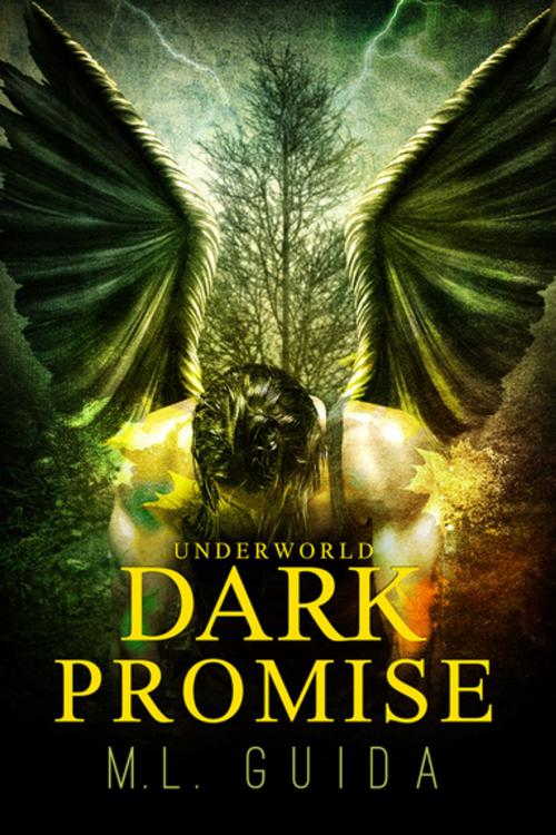 Cover of the book Dark Promise by M. L. Guida, Lyrical Press