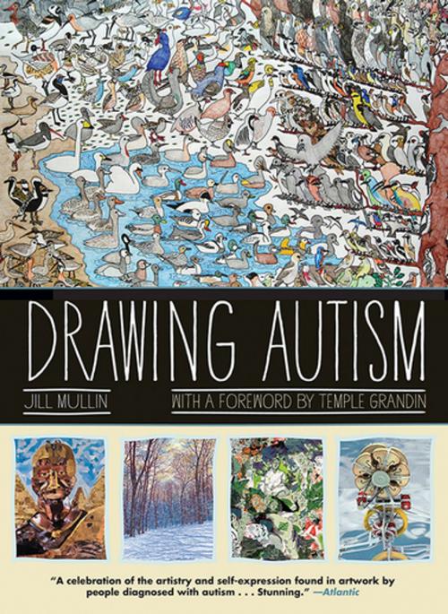Cover of the book Drawing Autism by Jill Mullin, Akashic Books (Ignition)