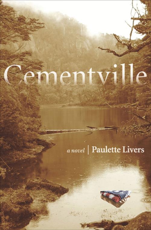 Cover of the book Cementville by Paulette Livers, Counterpoint Press