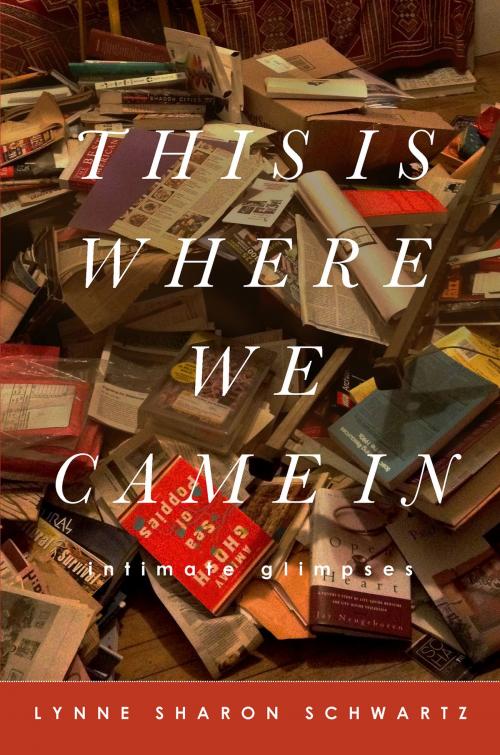 Cover of the book This Is Where We Came In by Lynne Sharon Schwartz, Counterpoint