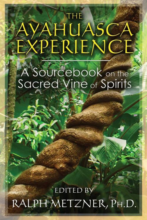 Cover of the book The Ayahuasca Experience by , Inner Traditions/Bear & Company