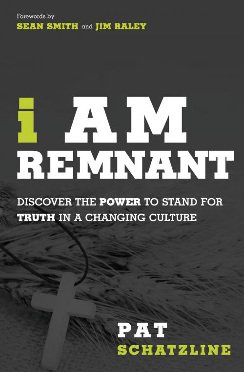 Cover of the book I Am Remnant by Pat Schatzline, Charisma House