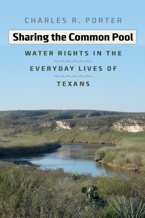 Cover of the book Sharing the Common Pool by Charles R. Porter Jr., Texas A&M University Press