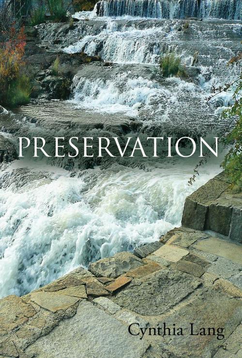 Cover of the book Preservation by Cynthia Lang, Mill City Press