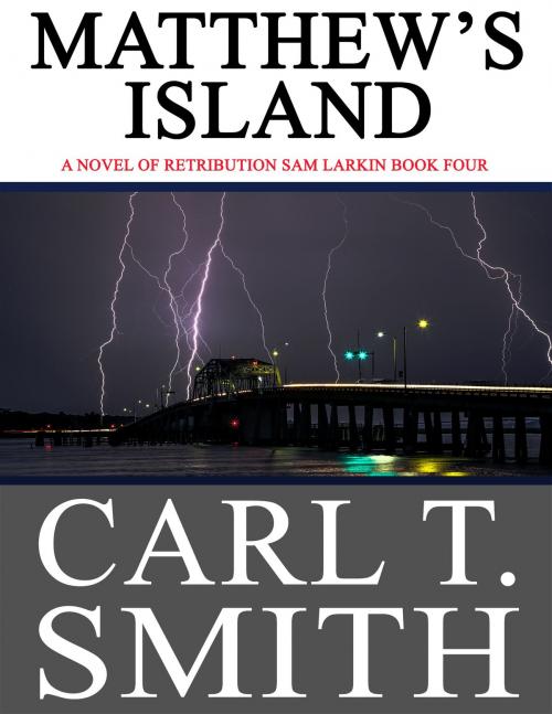 Cover of the book MATTHEW'S ISLAND by CARL T. SMITH, River Oaks Publishing