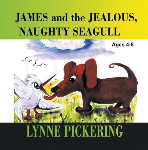 Cover of the book James and the Jealous, Naughty Seagull by Lynne Pickering, Strategic Book Publishing & Rights Co.