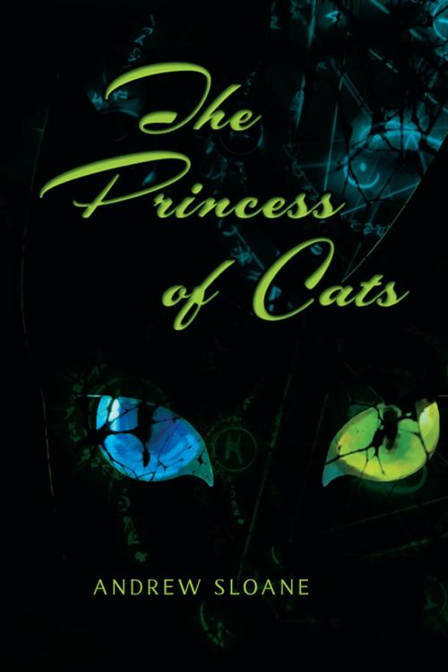 Cover of the book The Princess of Cats by Andrew Sloane, Strategic Book Publishing & Rights Co.