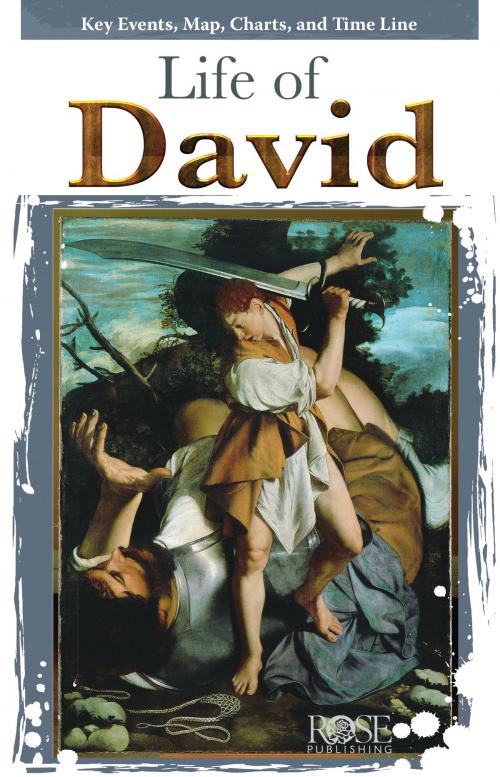 Cover of the book Life of David by Rose Publishing, Rose Publishing, Inc.