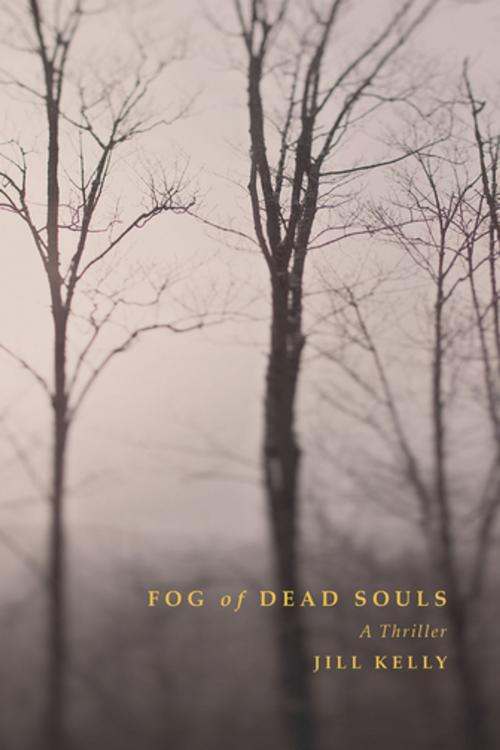 Cover of the book Fog of Dead Souls by Jill Kelly, Skyhorse Publishing