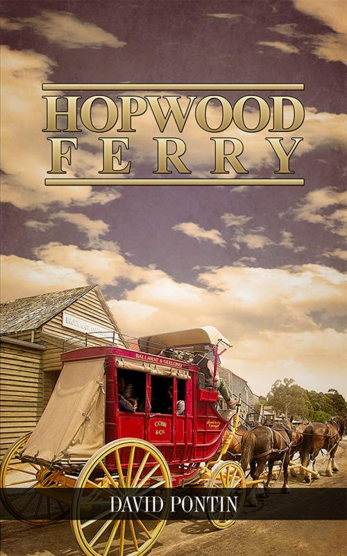 Cover of the book Hopwood Ferry by David Pontin, ReadOnTime BV
