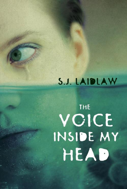 Cover of the book The Voice inside My Head by S.J. Laidlaw, Tundra