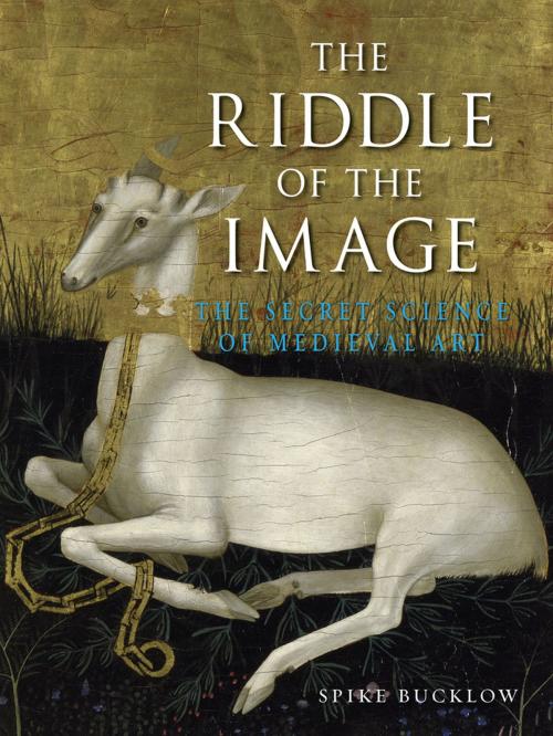 Cover of the book The Riddle of the Image by Spike Bucklow, Reaktion Books