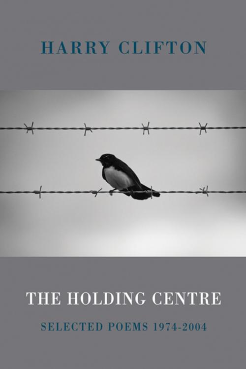 Cover of the book The Holding Centre by Harry Clifton, Bloodaxe Books