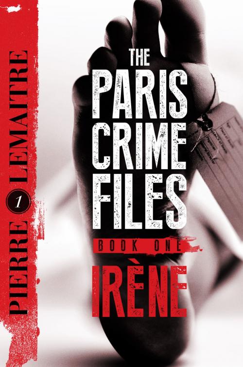 Cover of the book Irène by Pierre Lemaitre, Quercus Publishing