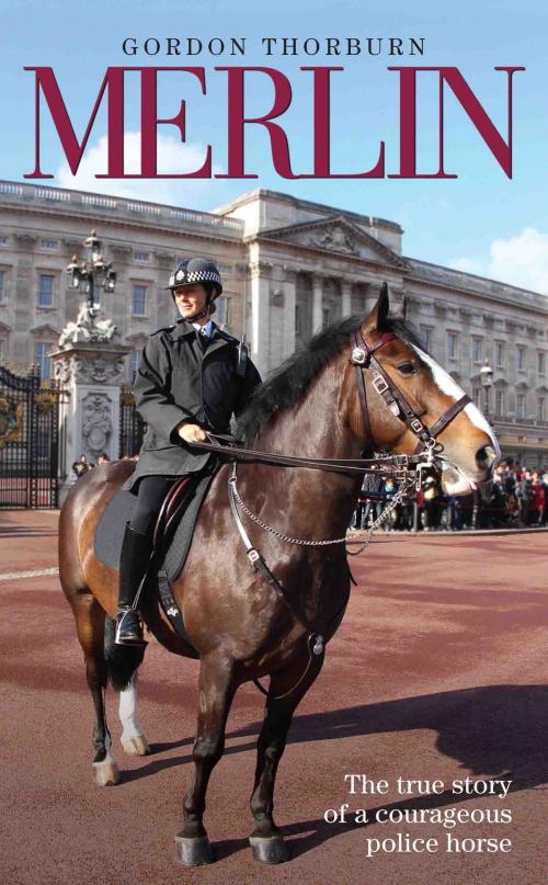 Cover of the book Merlin - The True Story of a Courageous Police Horse by Gordon Thorburn, John Blake Publishing