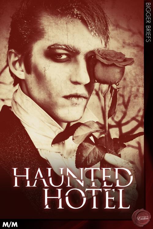 Cover of the book Haunted Hotel (MM) by MA Church, Andrews UK