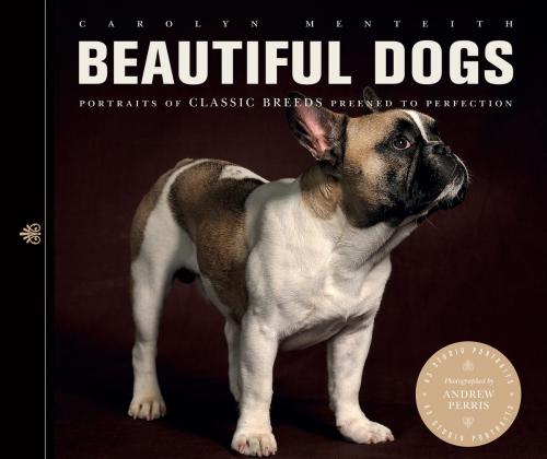 Cover of the book Beautiful Dogs: Portraits of Classic Breeds Preened to Perfection by Carolyn Menteith, The Ivy Press
