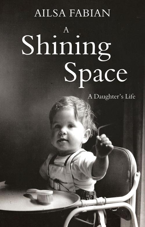 Cover of the book A Shining Space by Ailsa Fabian, Troubador Publishing Ltd