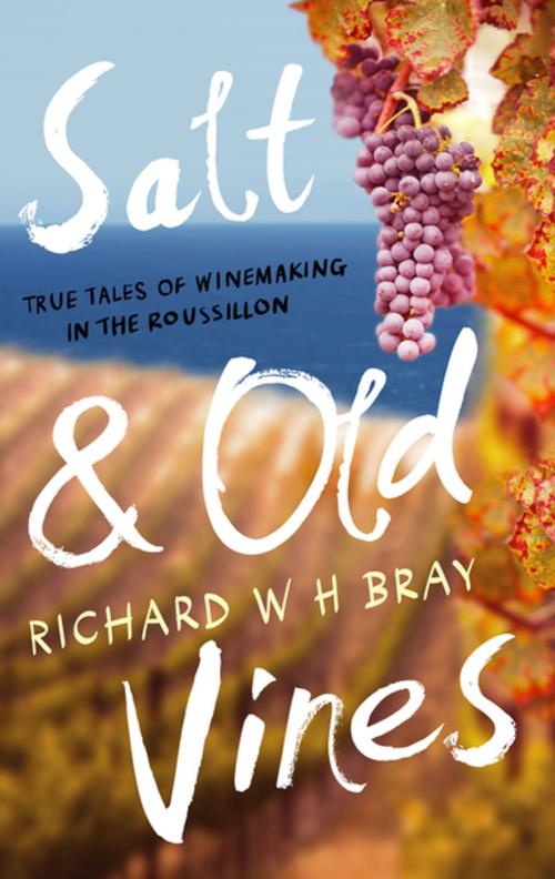 Cover of the book Salt & Old Vines by Richard W. H. Bray, Unbound