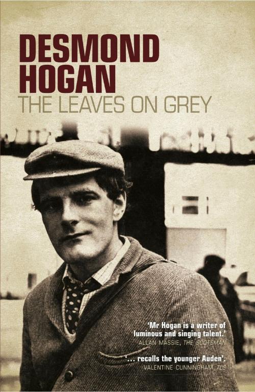 Cover of the book The Leaves on Grey by Desmond Hogan, The Lilliput Press