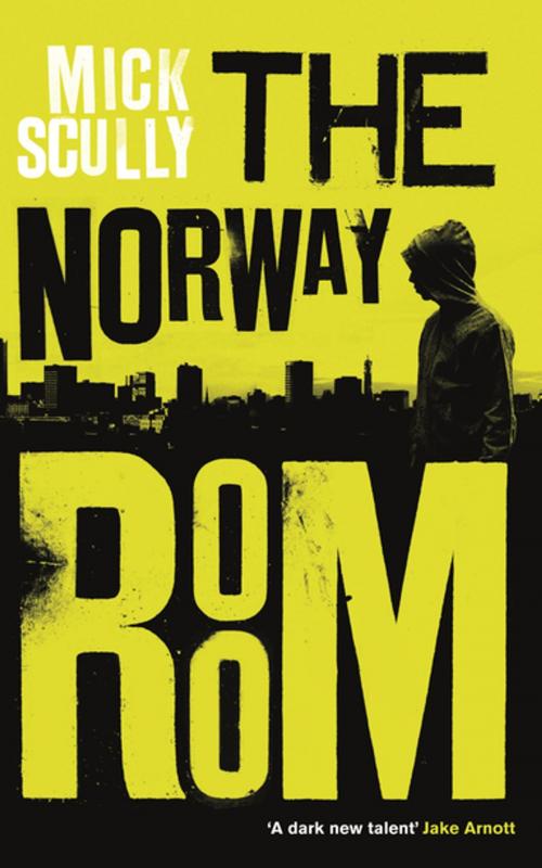 Cover of the book The Norway Room by Mick Scully, Profile