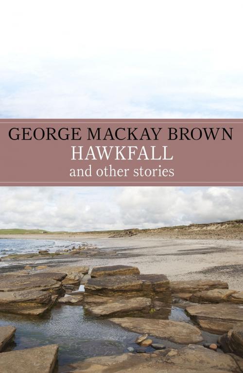 Cover of the book Hawkfall by George Mackay Brown, John Murray Press