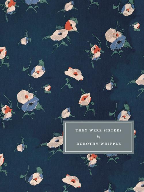 Cover of the book They Were Sisters by Dorothy Whipple, Persephone Books Ltd