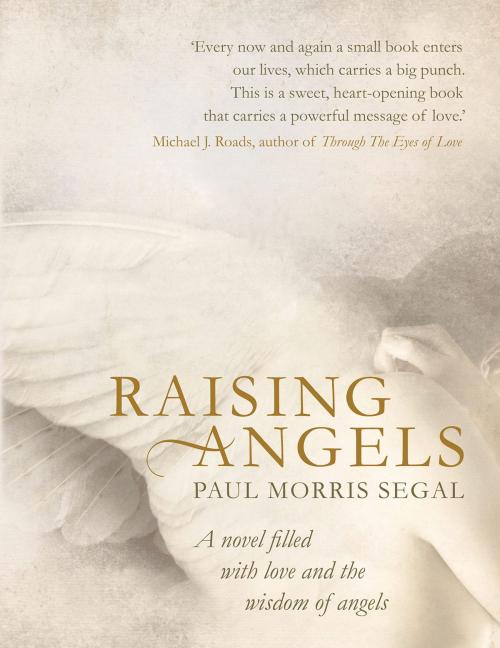 Cover of the book Raising Angels by Paul Morris Segal, Rockpool Publishing