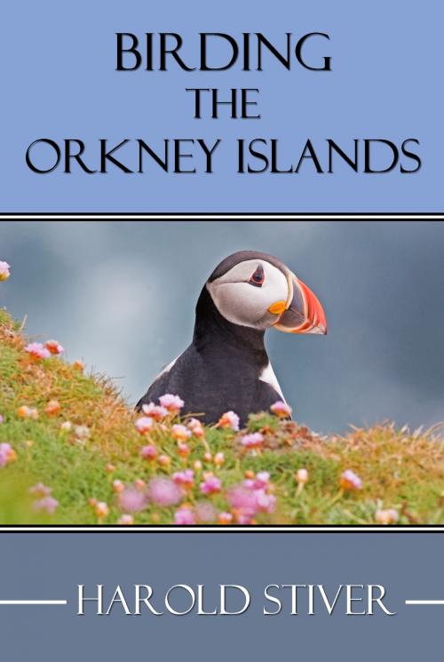 Cover of the book Birding the Orkney Islands by Harold Stiver, Harold Stiver