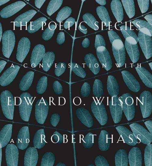 Cover of the book The Poetic Species by Edward O. Wilson, Robert Hass, Bellevue Literary Press