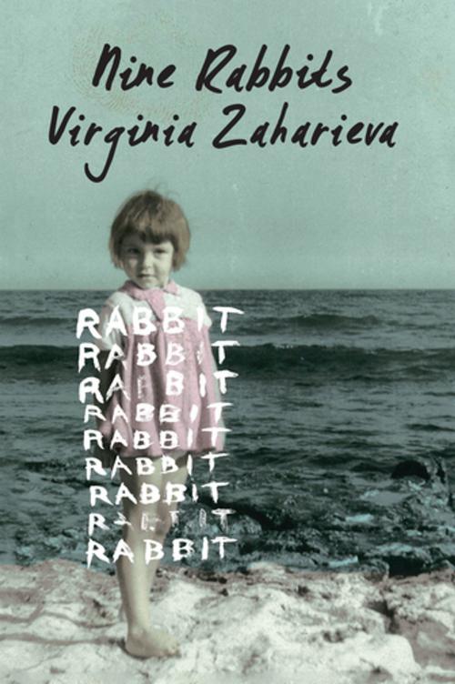 Cover of the book Nine Rabbits by Virginia Zaharieva, Catapult