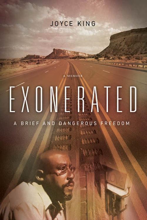 Cover of the book Exonerated by Joyce King, River Grove Books
