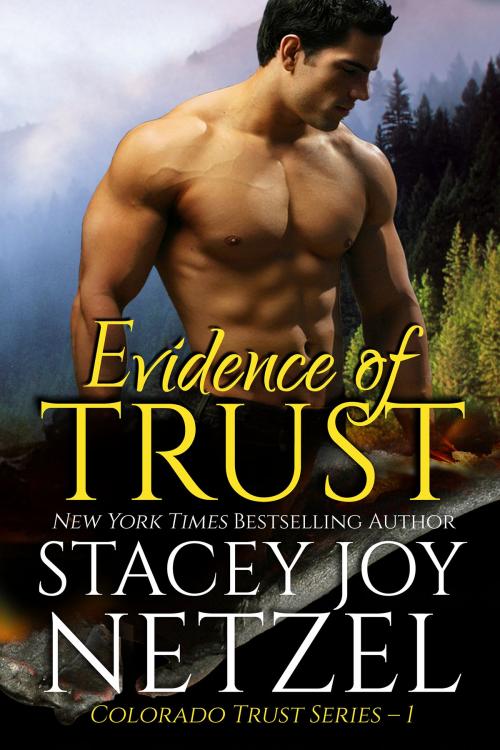 Cover of the book Evidence of Trust (Colorado Trust Series: 1) by Stacey Joy Netzel, Stacey Joy Netzel