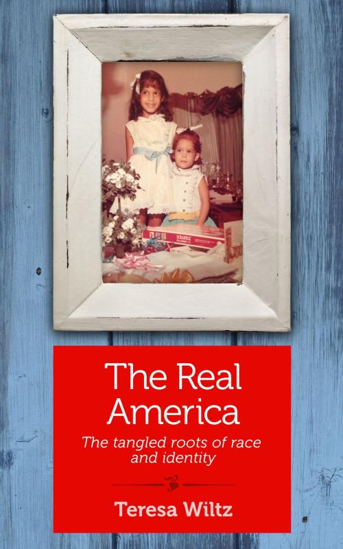 Cover of the book The Real America by Teresa Wiltz, She Writes Press