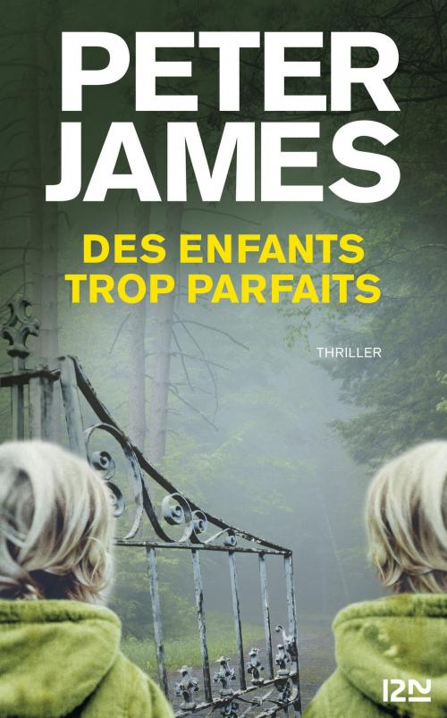 Cover of the book Des enfants trop parfaits by Peter JAMES, Univers Poche