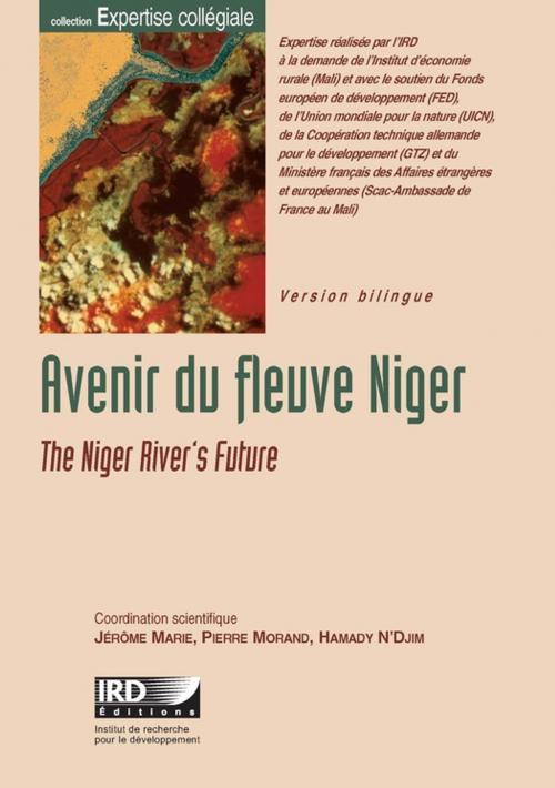 Cover of the book Avenir du fleuve Niger by Collectif, IRD Éditions