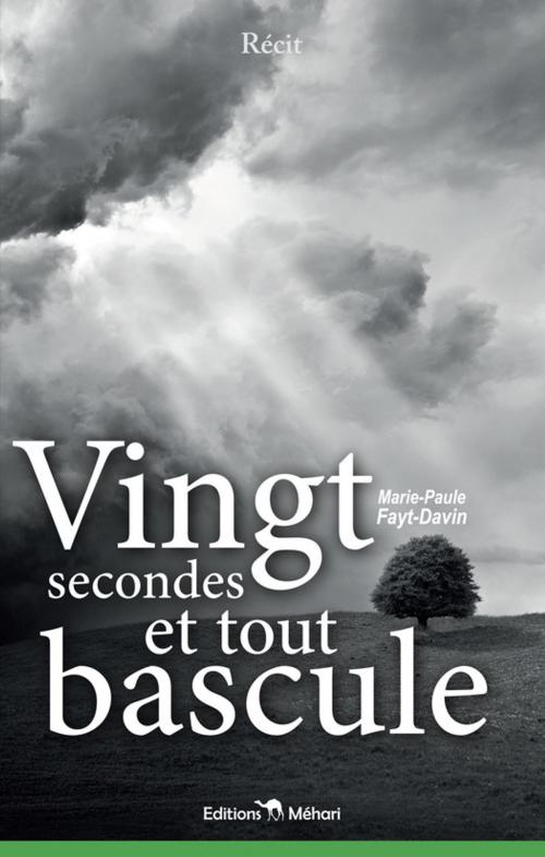 Cover of the book Vingt secondes et tout bascule by Marie-Paule Fayt-Davin, éditions Méhari