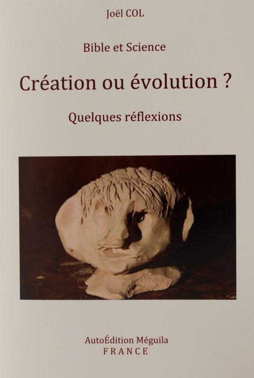 Cover of the book Bible et Science by Joël COL, AutoÉdition Méguila