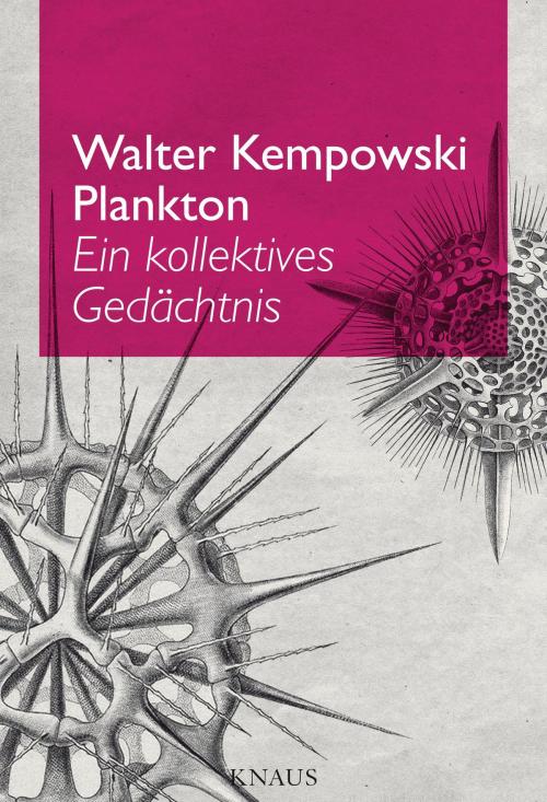 Cover of the book Plankton by Walter Kempowski, Albrecht Knaus Verlag