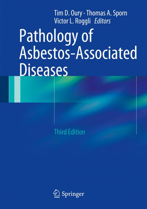 Cover of the book Pathology of Asbestos-Associated Diseases by , Springer Berlin Heidelberg